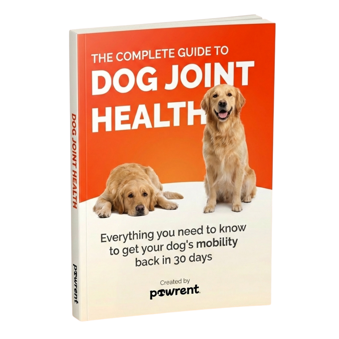 The Guide To Joint Health