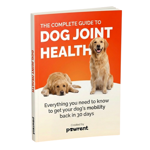 The Guide To Joint Health