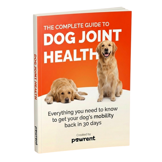 The Guide To Joint Health