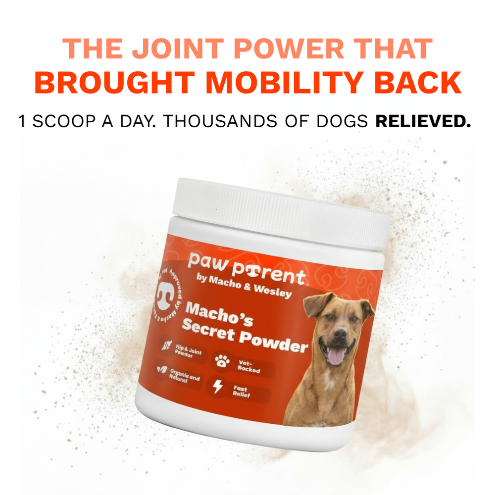 The Paw Society - Hip & Joint Powder